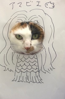 あまこみ.jpg
