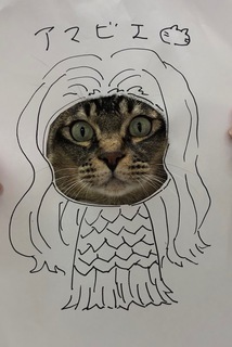 あまのら.jpg