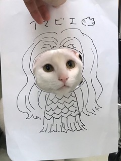 あまらつ.jpg